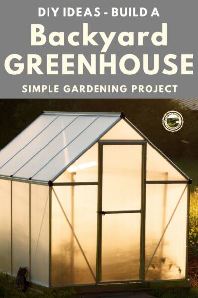DIY backyard greenhouse on a budget.