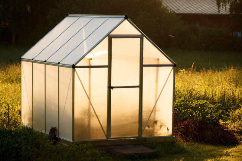 Small greenhouse in a backyard