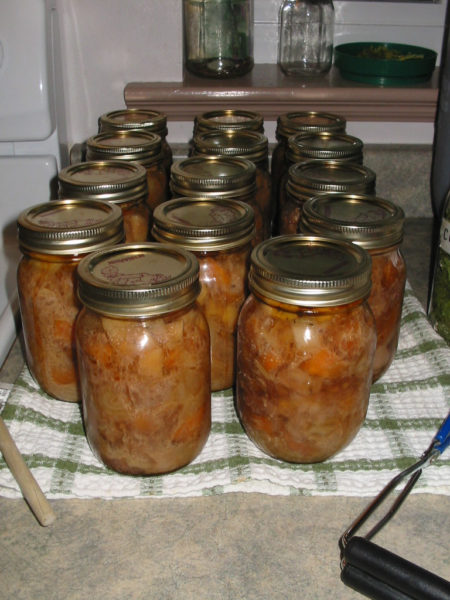 Prepper's Canning Guide includes recipes for canned stew.