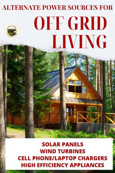 A large wood cabin with windows in a forest with large trees.