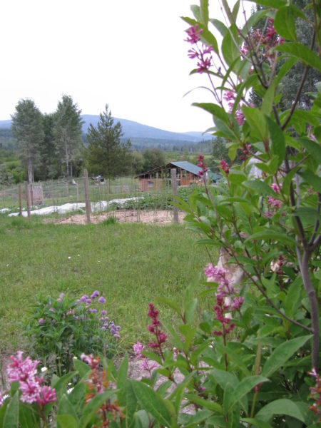 A country valley with a barn and flowers