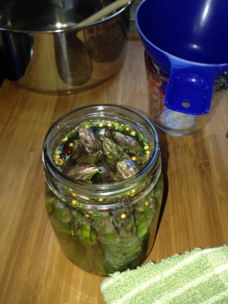 Asparagus spears in a jar with all of the components for pickling.