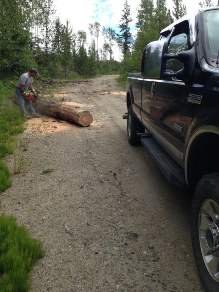 chain saw, free firewood, heating with wood, Husqvarna, 