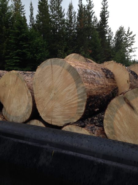A truck filled with fire wood rounds for bucking
