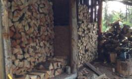 finding free firewood, heating with wood, woodstove