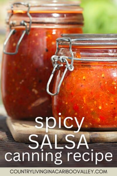 Salsa in canning jars on a wooden table.