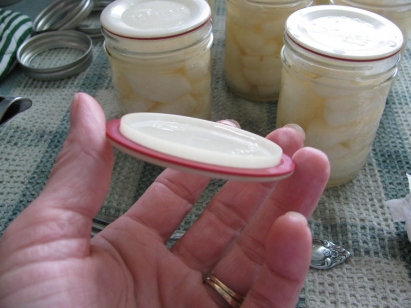 Canning pears using Tattler Lids and rings.