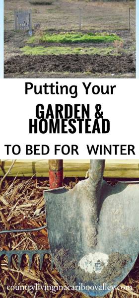 Make sure you take care of these chores before Winter. End of season means tool maintenance, taking care of sprinklers and timers and other chores too. #gardening #winterprep #tools #homesteading