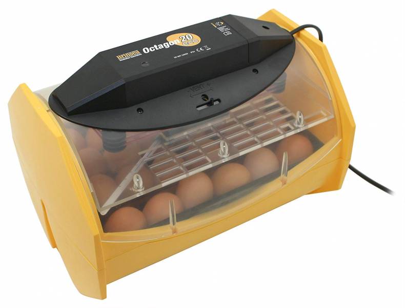 A Brinsea incubator for chickens