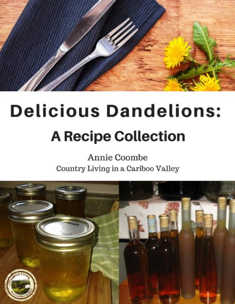 cooking with dandelions, eat dandelions