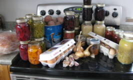Live from your Pantry all Winter long #pantry #food #canning