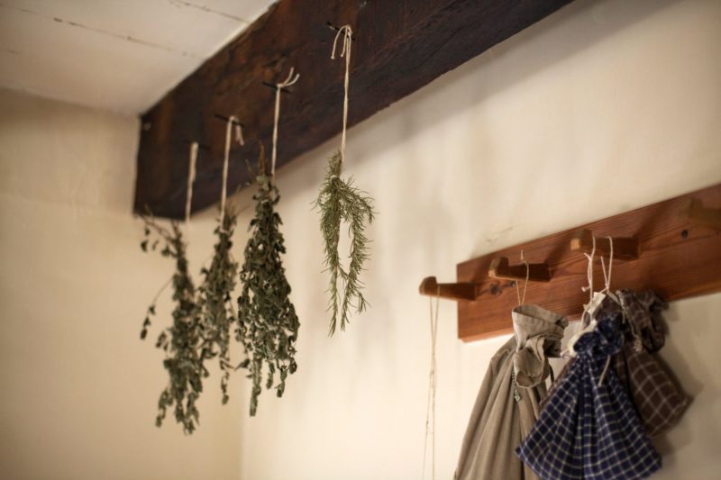 herbs drying on a rack