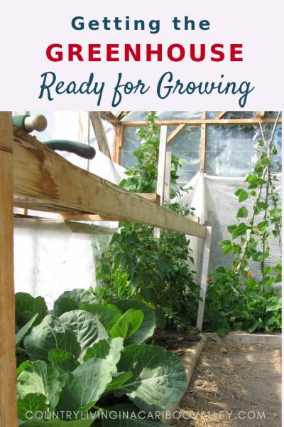 Spring maintenance for the Greenhouse. Get your greenhouse ready for garden season. Here's what we do to get our Greenhouse ready for Spring. #gardening #greenhouse #DIYbackyard
