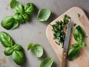 How to Preserve Basil, chopping and freezing leaves