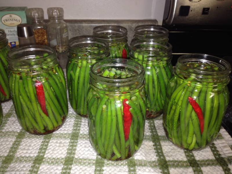 Pickled garlic scapes and hot peppers in jars ready for home canning.
