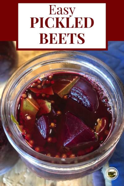 Open jar of easy pickled beets with spices