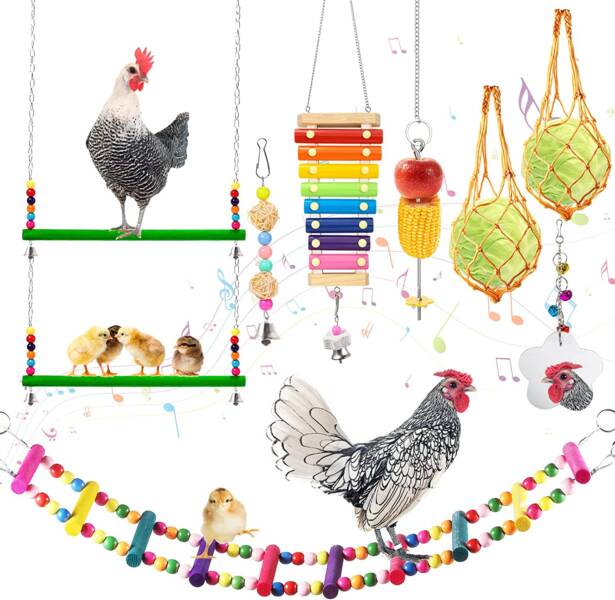 Chicken swing and other Chicken toys