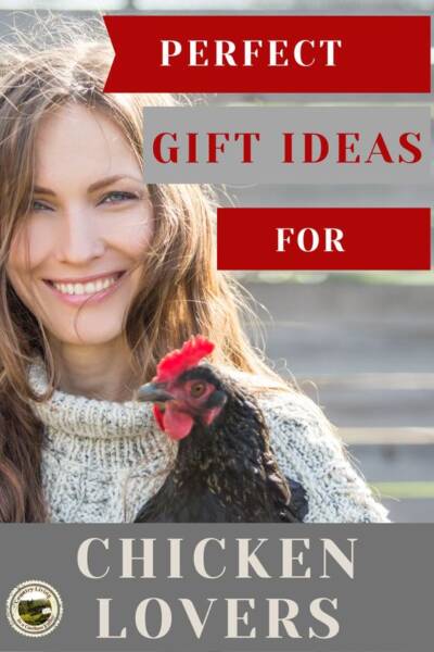 a lady holding a chicken with the words Perfect Gift Ideas for Chicken Lovers overlaid the picture.