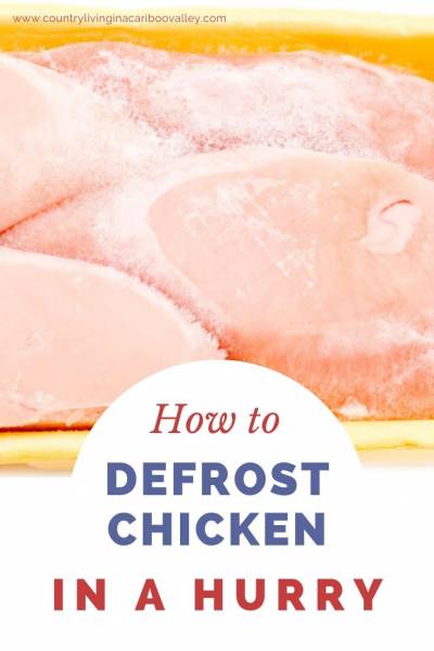frozen chicken thawing for dinner
