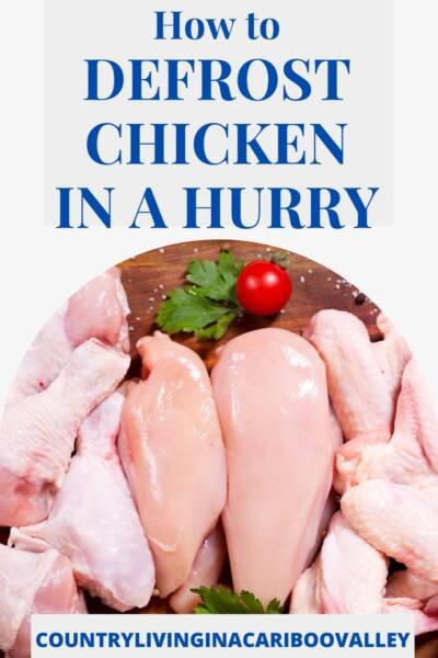Chicken pieces thawing on a counter