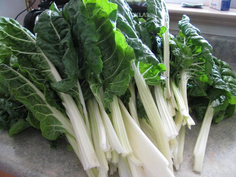 Chard is one of the fastest growing vegetables.