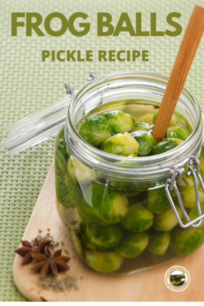 Pickled Brussels Sprouts in a jar