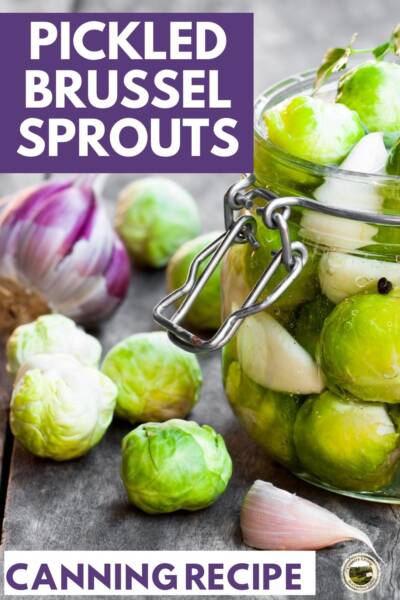 Pickled Brussels Sprouts in a canning jar with garlic cloves