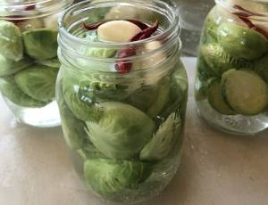 a open jar of pickled brussel sprouts on a counter