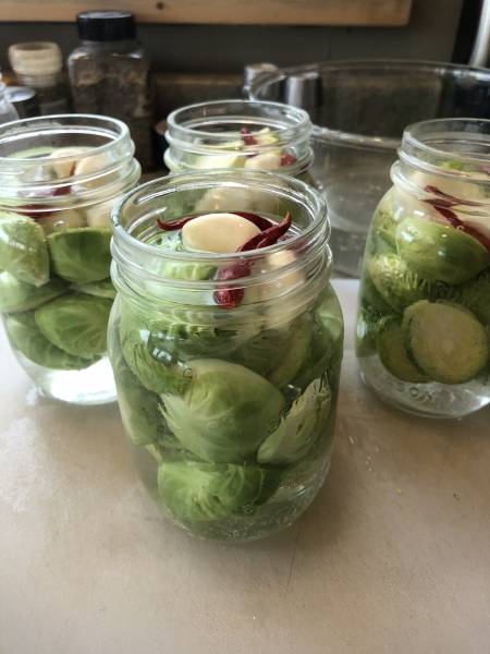 Canning jars filled with Brussels Sprouts, garlic and hot Cayenne peppers