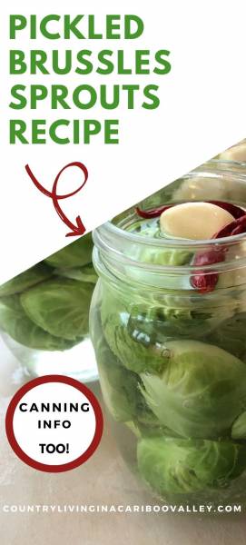 Pickled Brussels Sprouts on a table