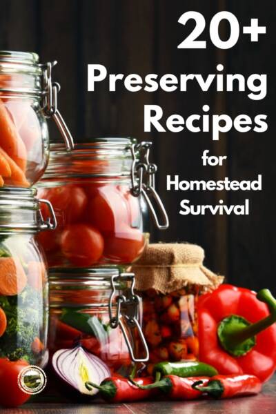 Preserving recipes including jars of canned carrots and tomatoes