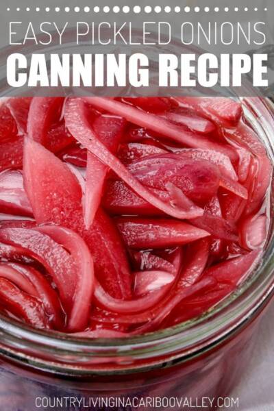 A opened jar of pickled onions sits on a counter.