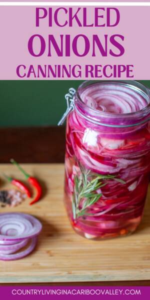 Pickled pearl onions that are red in a canning jar with rosemary and peppers.