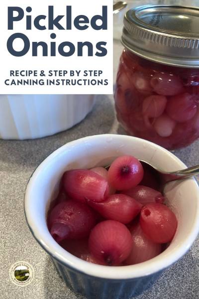 A dish of pickled onions sits with a jar of pickled onions.