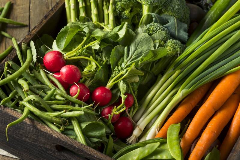 Grow enough food for a year includes harvests of radishes, beans, greens and more