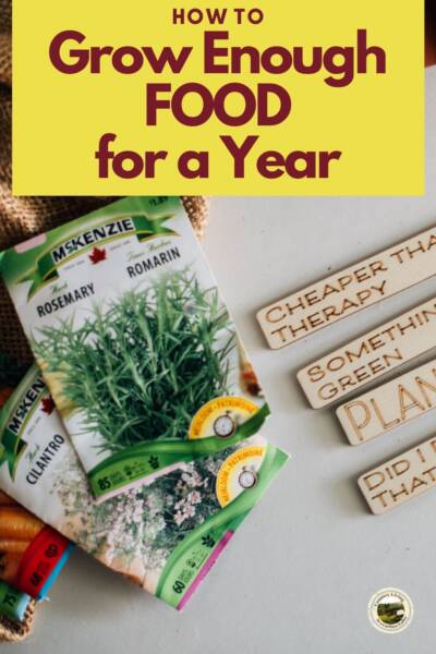Packets of seeds set aside to grow enough food for a year