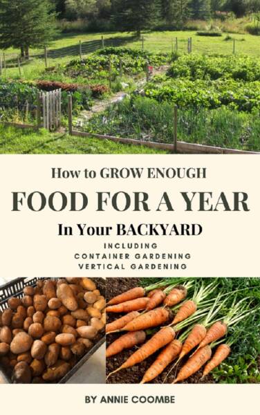 A growing garden and harvested potatoes and carrots.