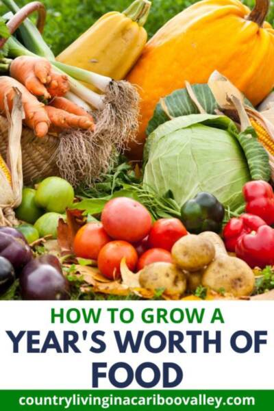 book cover with lots of fresh vegetables and fresh fruit