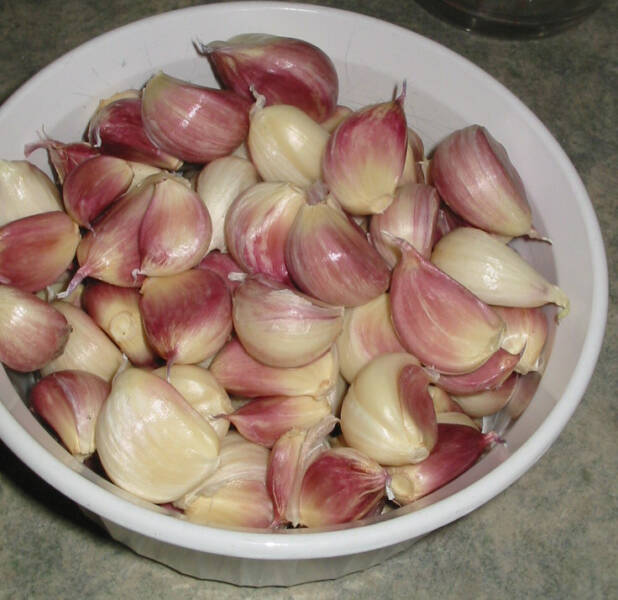 Fresh garlic cloves sit in a bowl.