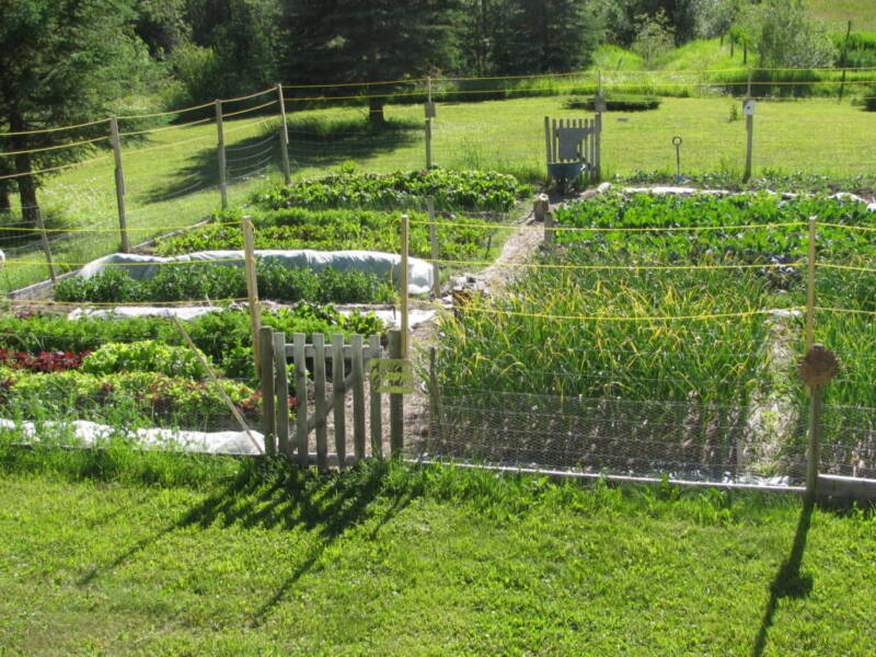 This vegetable garden planner printable is what we use every year to grow this large garden of healthy vegetables.
