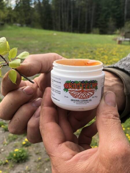 Rootech Gel