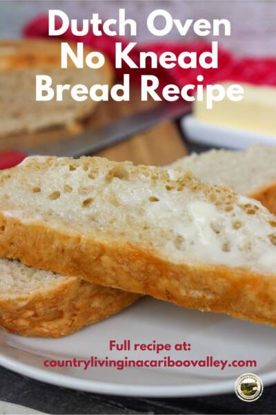 Easy no knead dutch oven bread on a plate