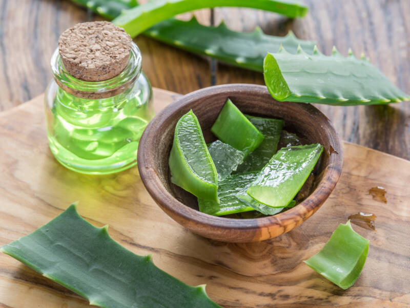 Aloe vera leaves cut sit in a bowl, with the gel exposed.