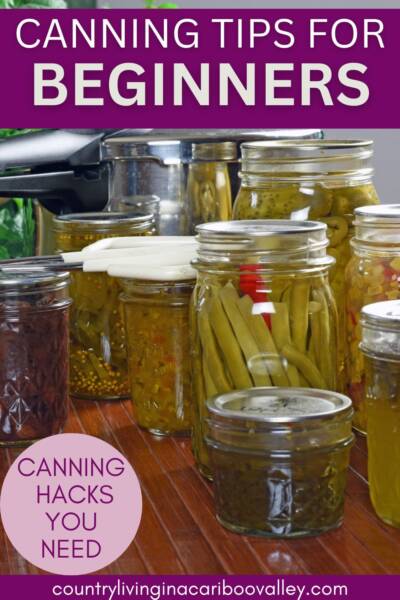 Canning tips like these will give you jars of food like these home canned green beans.