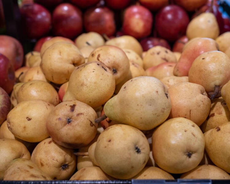 A collection of pears and apples.