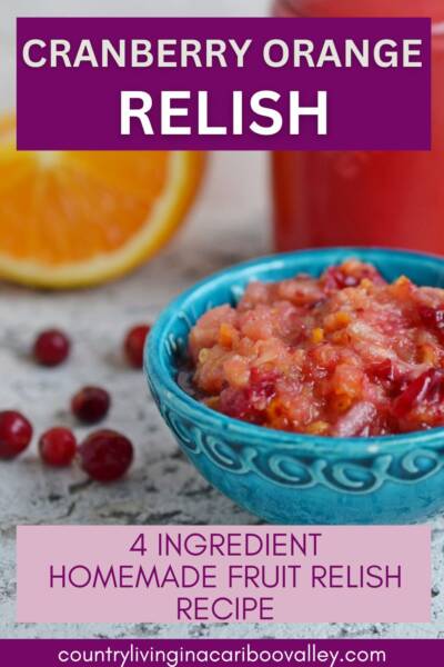 Cranberry Orange Relish in a bowl