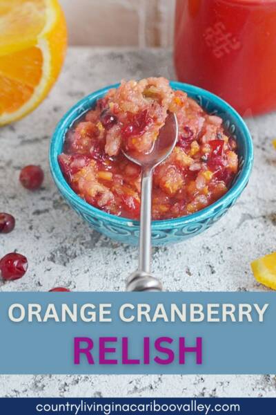 Orange Cranberry Relish in a bowl with a spoon.