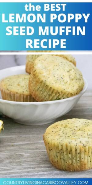 Baked Poppy Seed Lemon Muffins on a counter