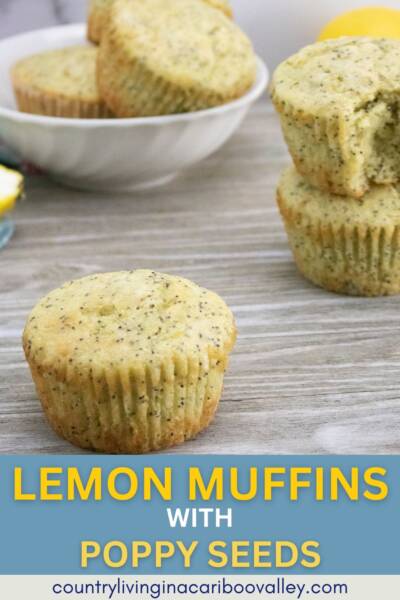 Lemon Muffins with Poppy Seed on a counter