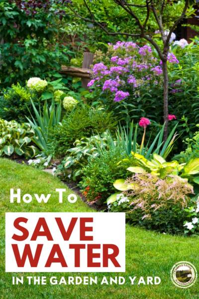 A blooming shade flower bed that has been grown using water saving measures.